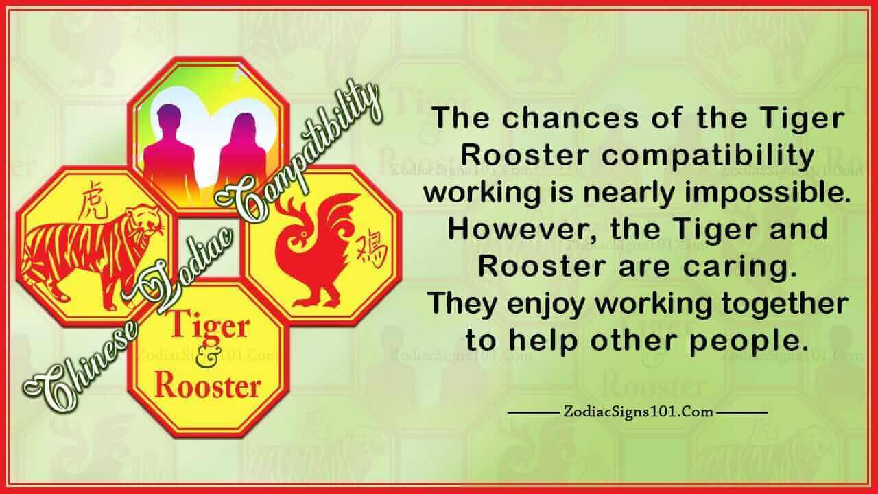 Tiger Rooster