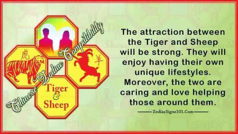 tiger sheep