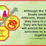 Tiger Snake