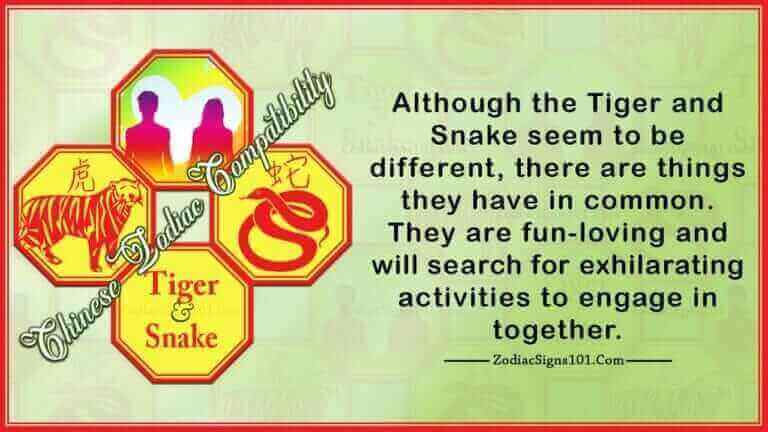 tiger snake