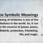 Mistletoe Symbolic Meanings
