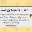 Numerology Number Five