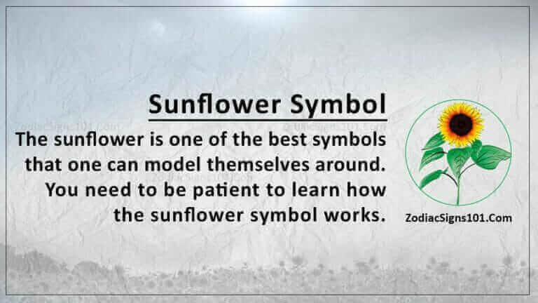 Sunflower Symbol