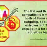 Rat Dragon