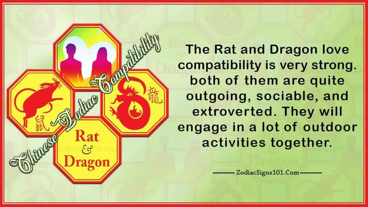 Rat Dragon