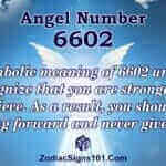 6602 Angel Number