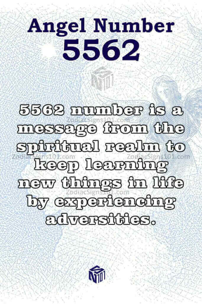 5562 Angel Number 