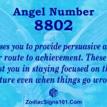 8802 angel number