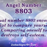 8803 Angel Number