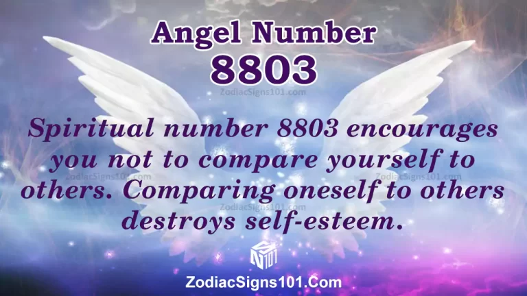 8803 Angel Number