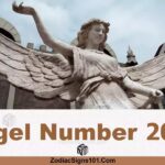 2029 Angel Number Spiritual Meaning And Significance