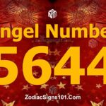 5644 Angel Number Spiritual Meaning And Significance