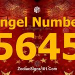 5645 Angel Number Spiritual Meaning And Significance