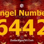 6442 Angel Number Spiritual Meaning And Significance