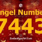 7443 Angel Number Spiritual Meaning And Significance