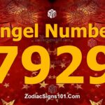 7929 Angel Number Spiritual Meaning And Significance