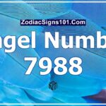 7988 Angel Number Spiritual Meaning And Significance